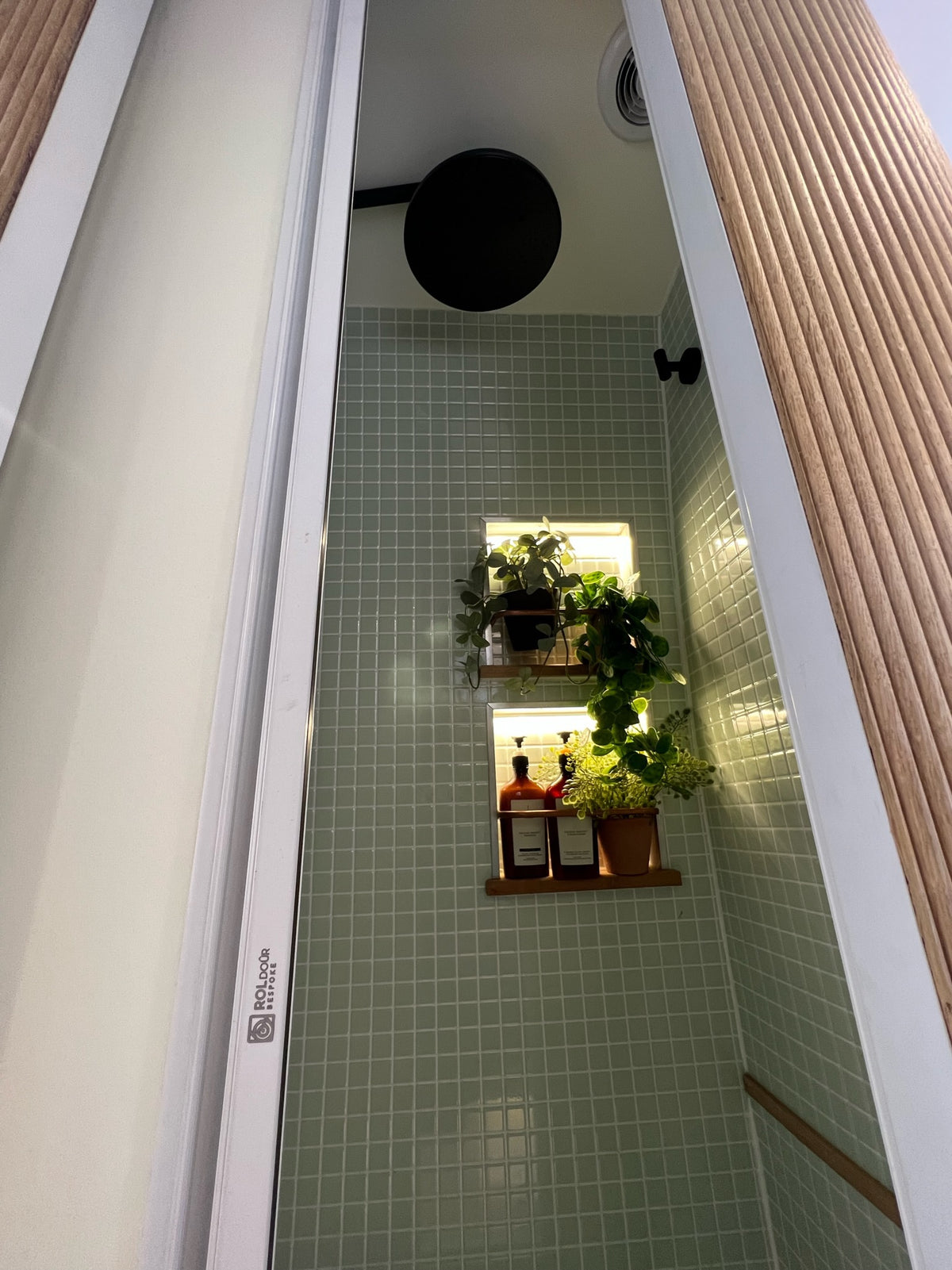 a window with plants on a shelf