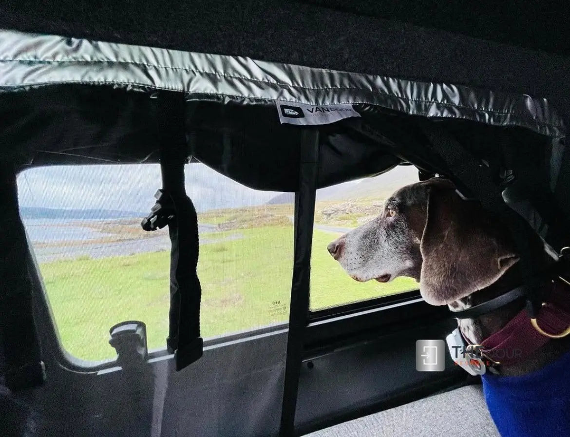 VANdour Mosquito Net Screen - Fits Small Campervans With Added Privacy Layer VANdoûr