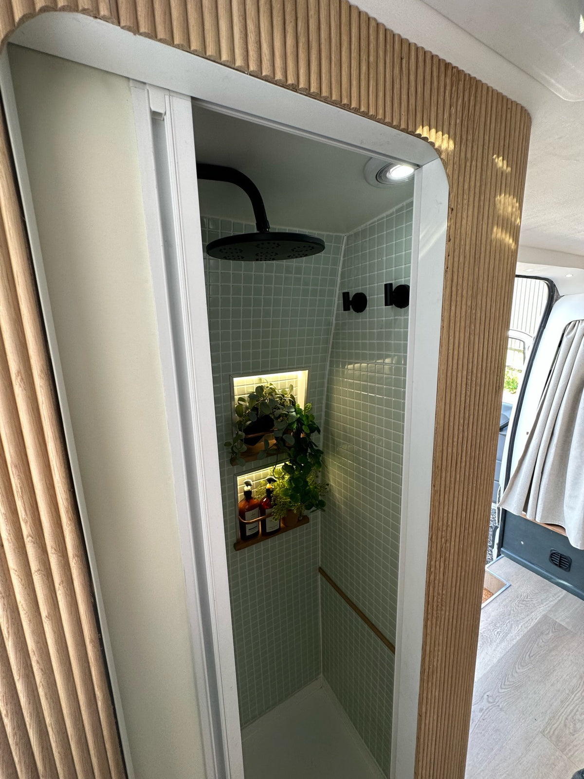 a shower with plants in the back