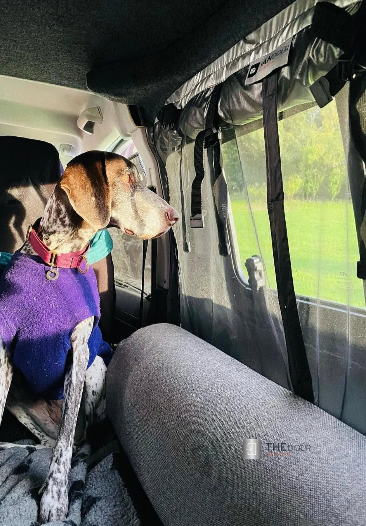 VANdour Mosquito Net Screen - Fits Small Campervans With Added Privacy Layer VANdoûr