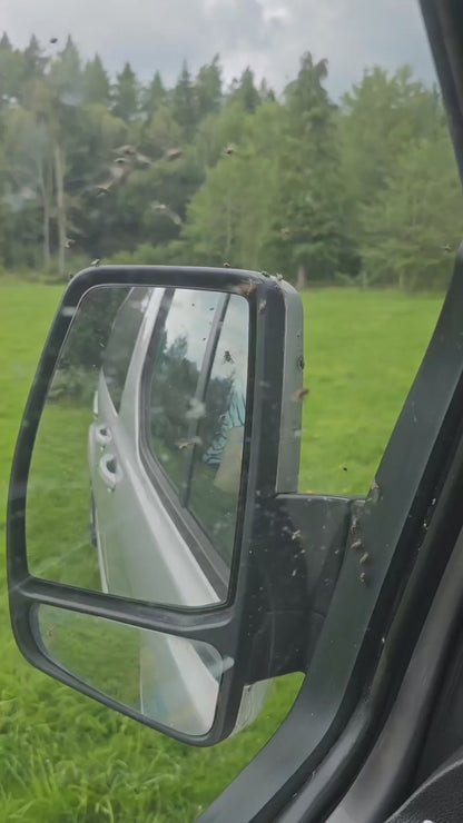 VANdour Mosquito Net Screen - Fits Medium to Large Campervans With Added Privacy Layer